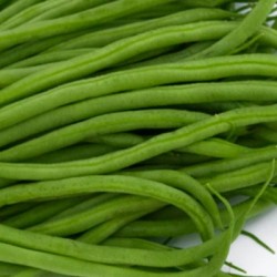 graines-haricot-mange-tout-nain-la-victoire-kokopelli-bio-iriso