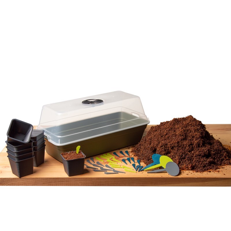 Kit pour semis avec godets solides  - Taille: Godets 4 cm