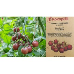 graines-tomates-cerises-bio-iriso