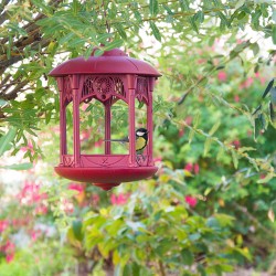 Mangeoire et bain - Kit hiver pour oiseaux