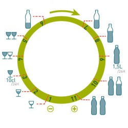 Arrosage goutte à goutte plantes et pots avec réserve 10 litres
