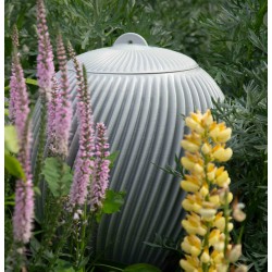 Arrosage goutte à goutte plantes et pots avec réserve 10 litres