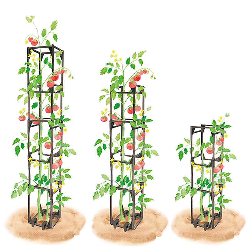 Tuteur tomates et plantes grimpantes - Cage modulable 