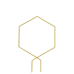 Tuteur métal plante d'intérieur - Forme Hexagone