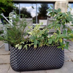 Jardinière rectangulaire...