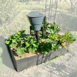 Carré potager 80x120cm - Arrosage autonome goutte à goutte - Kit 16 plants