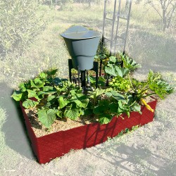 Carré potager 80x120cm - Arrosage autonome goutte à goutte - Kit 16 plants