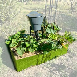 Carré potager 80x120cm - Arrosage autonome goutte à goutte - Kit 16 plants