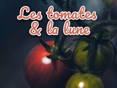 Comment cultiver ses tomates avec la lune en 2025 ?