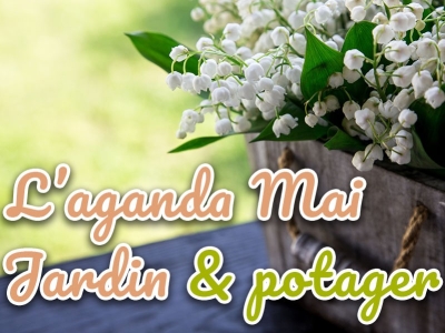 En mai au jardin et potager, le calendrier des plantations