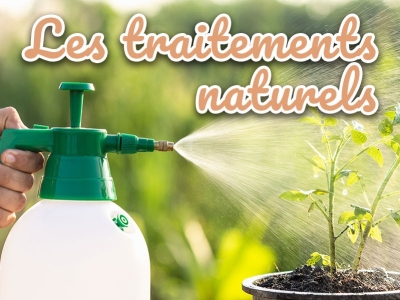 Traitements naturels pour un potager et jardin sains et écologiques