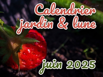 Jardiner avec la lune en juin 2025 : calendrier et conseils