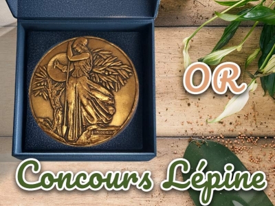 Iriso, médaille d’or au Concours Lépine 2001 - Innovation vendéenne récompensée