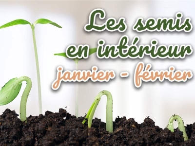 Semis en intérieur dès janvier-février : que planter et comment réussir ?