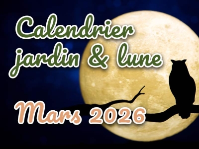 Jardiner avec la lune en mars 2026 : calendrier et travaux du potager