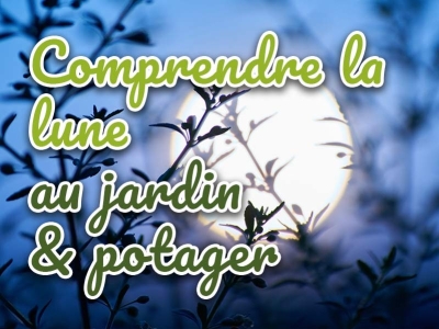 Comment utiliser et comprendre la lune au jardin et potager ? Un Guide complet